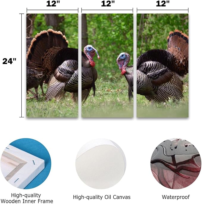 3 Piece Canvas Wall Art Prints Picture two male wild turkeys full tail feathers two female turkeys Framed Wall Painting Modern Artwork Poster Home Decor for Living Room Office Ready to Hang