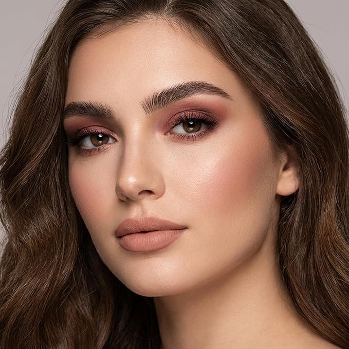 Erinde Single Dark Brown Matte Eyeshadow Palette, High Pigment, Long Lasting, Intense Color, Neutral Nudes Naked Matte Pressed Powder Eye Shadow Palette