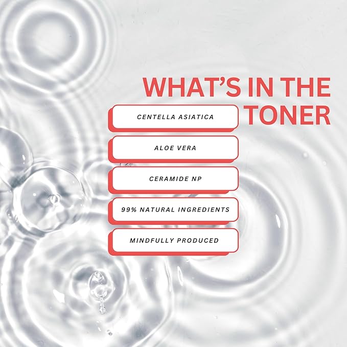 Toner Pads - Pre-Soaked Toner Pads with Korean Skincare - Balancing Face Toner - Hydrating Toner Pads for All Skin Types - 60 pc