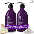 Luseta Purple Shampoo and Conditioner Set for Blonde, Gray - Color Treated Hair - Sulfate Free Paraben Free - Infused with Cocos Nucifera Oil for Curly and Damaged Hair - 2x16.9oz