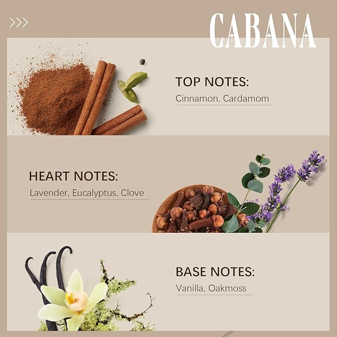 Cabana Hotel Diffuser Oil | Aromatherapy Fragrances Inspired by 5-Star Hotels | Luxurious Scents, Premium Fragrance Oil Blend for Waterless Diffusers and Crafting - 100ml, 3.38 fl oz