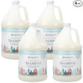 Ginger Lily Farms Botanicals Moisturizing Shampoo for All Hair Types, 100% Vegan & Cruelty-Free, Cucumber Mint Bliss Scent, 1 Gallon (Pack of 4)