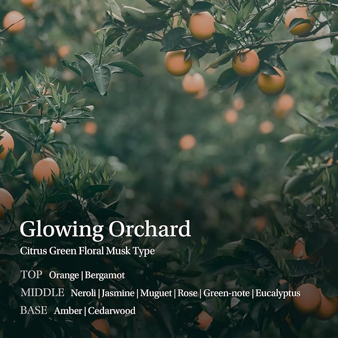 Objet Silky Gleam Body Lotion – Botanical Plant Oils & Butters with Niacinamide and Vitamin C&E, Deep Barrier Hydration, 24H Glow and Smooth Firm Skin–Premium Korean Body Care, Glowing Orchard (450ml)
