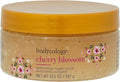Bodycology Cherish The Moment Exfoliating Sugar Scrub for Women, 10.5 Fluid Ounce