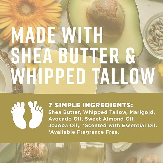 Pilotfish After Sun Body Butter Moisturizing Cream - Shea Butter & Whipped Tallow, Simple Ingredients, After Sun Lotion, Body Lotion, Lavender Oil, After Sun Care, After Sun Skin Care, 3.8oz
