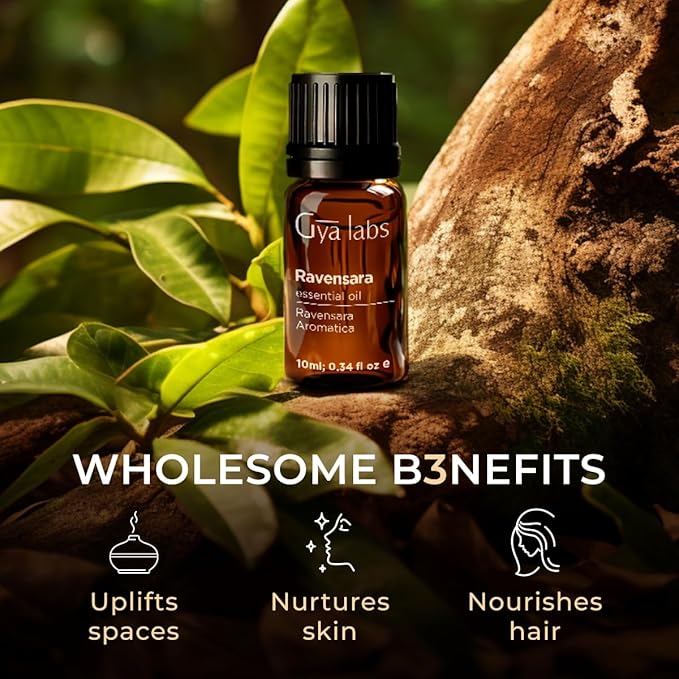 100% Pure Ravensara Essential Oil - 0.34 Fl Oz - Ravensara Oil for Hair, Skin, Diffuser, Aromatherapy & DIY Candle Making Scent