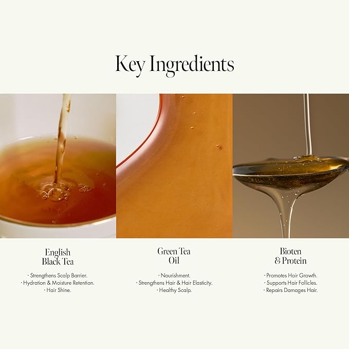 ANILLO Black Tea Scalp Nourishing Duo: Scalp Hair Mask & Essence Set - Strengthen Scalp Barrier & Repair Weak Hair - Vegan, Woody Scent (1.69oz+5.07oz)