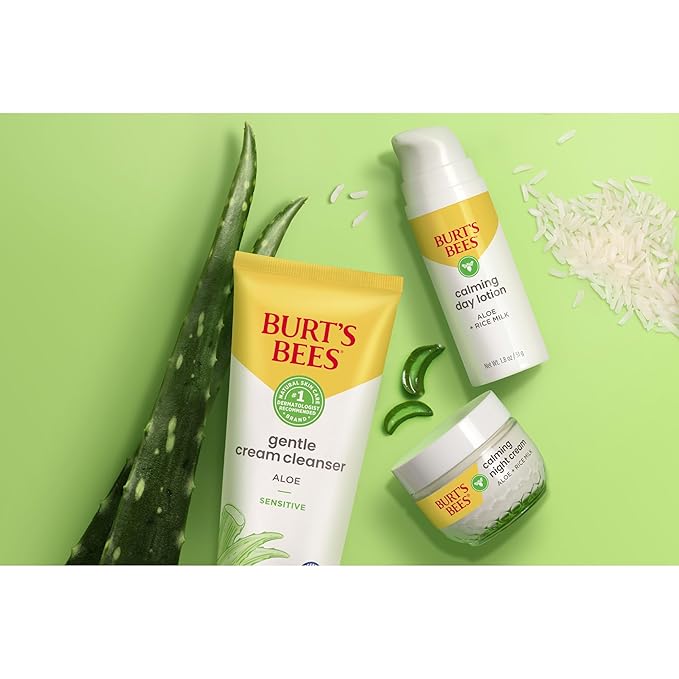 Burt's Bees Calming Night Cream With Aloe and Rice Milk, Face Moisturizer For Sensitive Skin Infuses Skin With Moisture While You Sleep, 98.8 Percent Natural Origin Skin Care, 1.8 oz. Tub