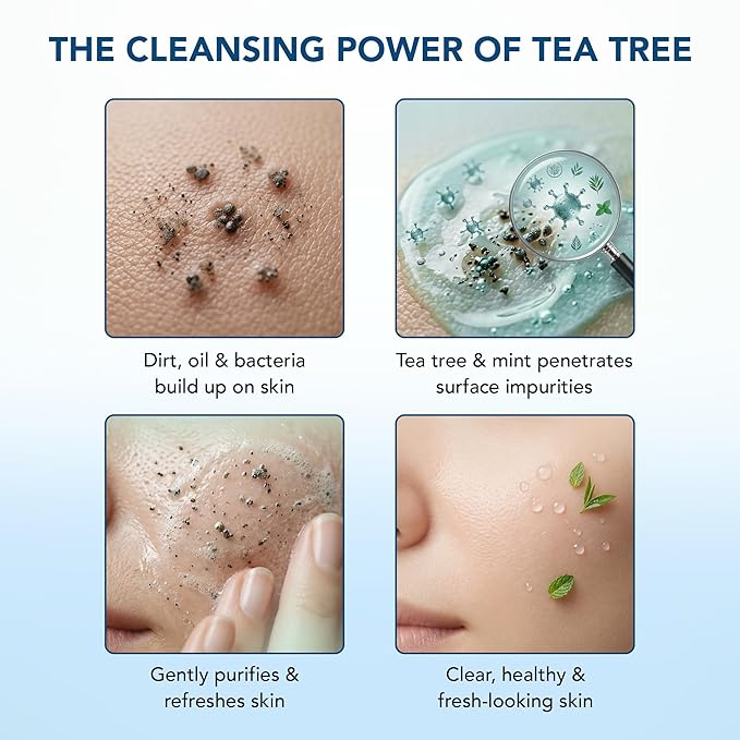 Botanic Hearth Tea Tree Face Wash With Mint | Acne Fighting, Premium, Hydrating Liquid Face Soap With Pure Tea Tree Oil | For Women And Men, Paraben Free, Fights Acne | 16 Fl Oz (Packaging May Vary)