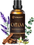 Cabana Hotel Diffuser Oil | Aromatherapy Fragrances Inspired by 5-Star Hotels | Luxurious Scents, Premium Fragrance Oil Blend for Waterless Diffusers and Crafting - 100ml, 3.38 fl oz