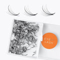 Eyesy Lash 500 Wispy Promade Fans - 5D 0.07 Size 11mm Curl C - Natural Wispy Lashes Loose Premade Lash Fans for Eyelash Extensions Handmade Pre Made Eyelashes for Spiky, Volume, Natural Look