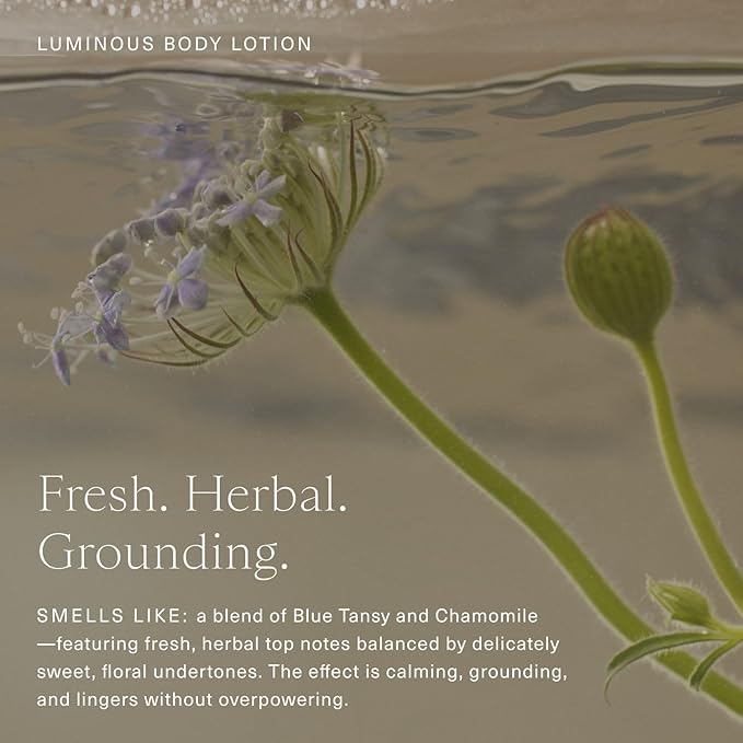 Oak Essentials Luminous Body Lotion, Travel Body Lotion for Women with Blue Tansy, Rose Oil, Shea Butter and Coconut Oil, Lightweight Moisturizer for Dry and Sensitive Skin, 1.33 Fl Oz