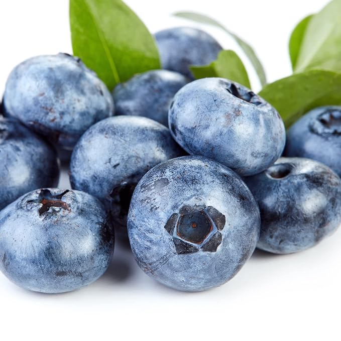 Super Fruits Blueberry Exfoliating Cleanser Earth To Skin (5.0 Fl Oz)