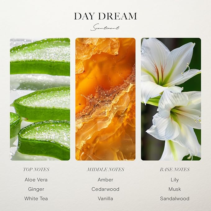 Scentiment Day Dream Diffuser Oil – Aloe Vera, Cedar, White Tea Scent for Diffusers, Fragrance Oil – 0.68 fl oz (20 mL)