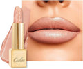 Oulac Matte Nude Peach Lipstick with Glow Metallic Finish - Vegan Lipstick for Women, Creamy Texture, Hydrating Clean Beauty Formula, High-End Magnetic Hook Design, GM06 Hugs