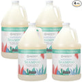 Ginger Lily Farms Botanicals Moisturizing Shampoo for All Hair Types, Eucalyptus Tranquility, 100% Vegan & Cruelty-Free, 1 Gallon (Pack of 4)