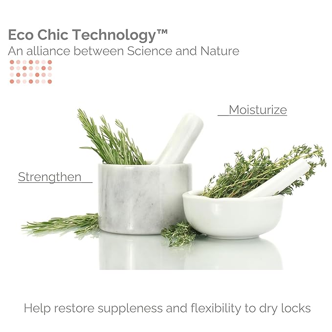 GIOVANNI Eco Chic 50:50 Travel Size Hydrating Shampoo & Conditioner Set - Leaves Hair pH Balanced for Over-Processed Hair, Moisturizes & Protects, Salon Quality, No Parabens, Color Safe- 2 oz (2 Pack)