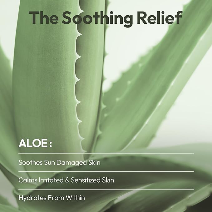 LAPCOS Aloe Sheet Mask - Soothing & Hydrating Face Masks with Aloe Vera, Panthenol & Centella - Restores Elasticity & Repairs Skin Barrier - Highly Breathable Sheet - Korean Skin Care (Pack of 5)