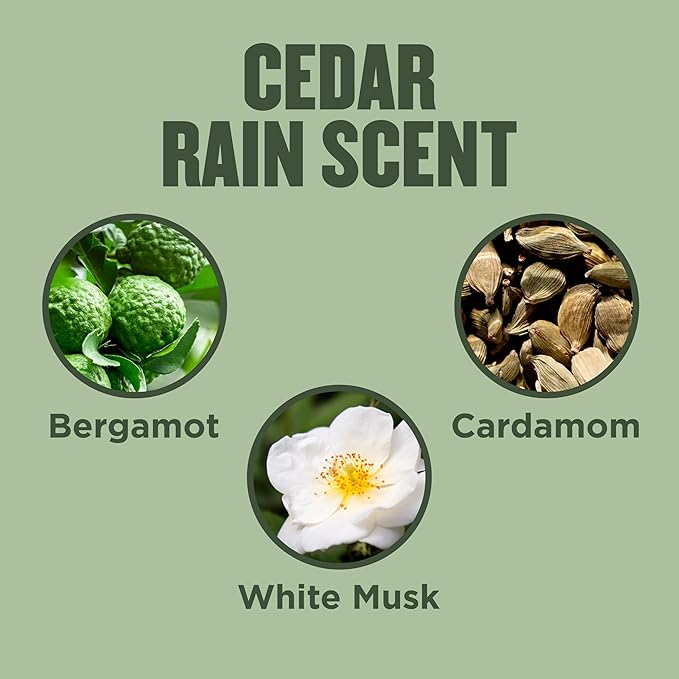 Gold Bond Hand Cream, Cedar Rain Refreshing Hand Cream with Aloe Vera to Refresh Skin and Vitamin E to Help Soothe the Skin, Comforting Cedar Rain Scent