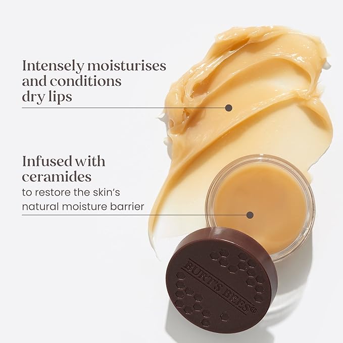 BURTS BEES Overnight Lip Treatment, 7.08 GR