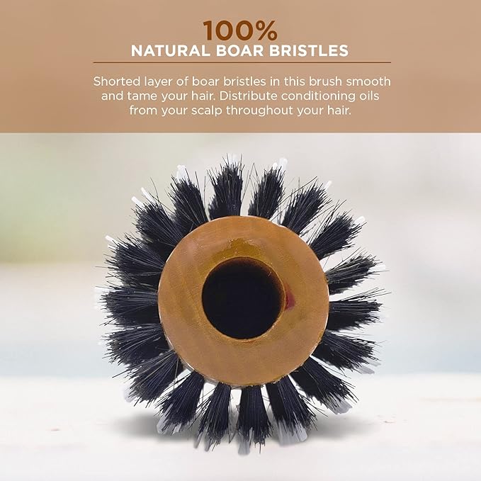 Spornette Boar Bristle Hair Brush for Women - Porcupine 2.75 Inch Brush with German Boar and Nylon Bristles for Detangling, Straightening & Smoothing - For All Hair Types
