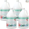 Ginger Lily Farms Botanicals Moisturizing Conditioner for Dry Hair, Eucalyptus Tranquility, 100% Vegan & Cruelty-Free, 1 Gallon (Pack of 4)