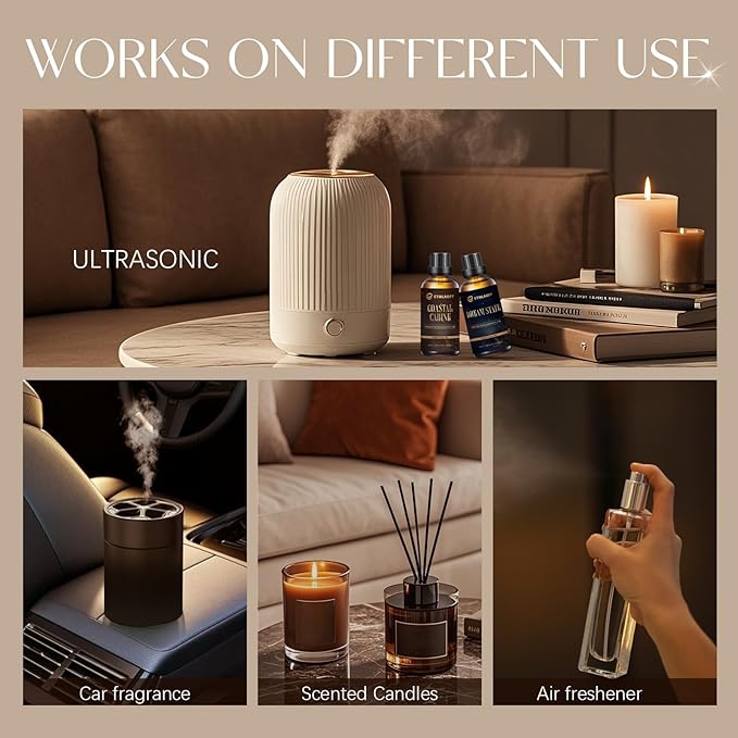 Hotel Diffuser Oil, Fragrance Oil, Inspired by Ritz-C. 3.38 Fl Oz | 100 mL, Essential Oil for Waterless Diffuser