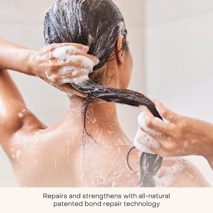 Everist The Shampoo Concentrate – Waterless Bond-Repair Cream Shampoo for All Hair Types – Glycerin & Aloe Hydration with Rosemary & Peppermint – Plant-Based, Vegan, Color-Safe - 3.4 fl oz