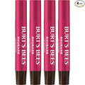 Burt's Bees Shimmer Lip Tint Set, Mothers Day Gifts, Tinted Lip Balm Stick, Moisturizing for All Day Hydration with Natural Origin Glowy Pigmented Finish & Buildable Color, Rhubarb (4-Pack)