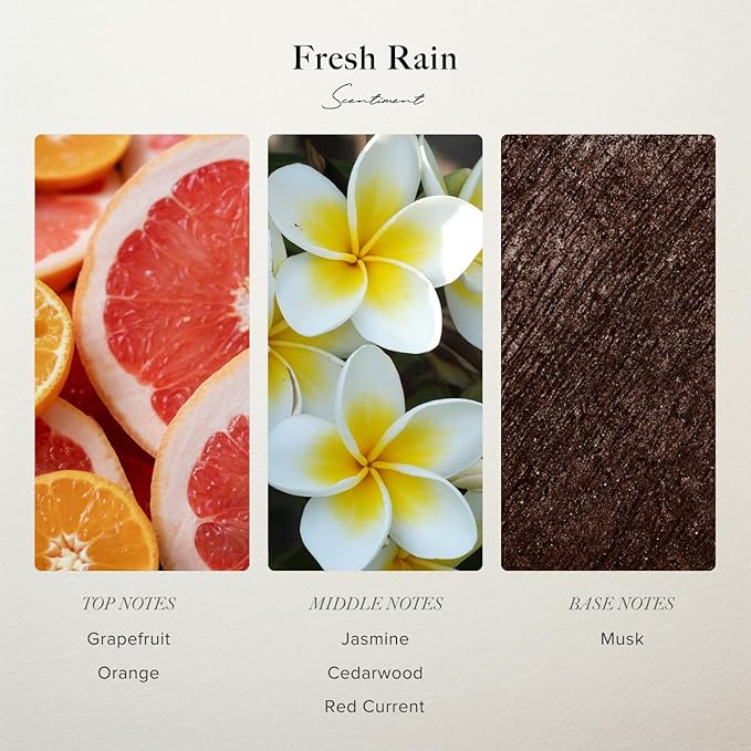 Scentiment Fresh Rain Diffuser Oil – Fresh Grapefruit and Crisp Red Currant Scent for Diffusers, Fragrance Oil – 4.06 fl oz (120 mL)