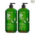 Majestic Pure Tea Tree Shampoo for Men and Women - Hydrating Formula Fights Dandruff, Lice and Itchy, Irritating or Dry Scalp - For All Hair Types - Sulfate Free 16 fl oz (pack of 2)