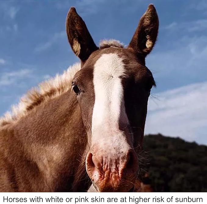 Sunscreen for Horses – Pure Sole Sun Block Cream | Protects Sensitive Pink Skin from Sun, Windburn & Snow Glare | Natural Non-Nano Zinc Oxide & Moisturizing Ingredients | Year-Round Use | 2 oz Stick