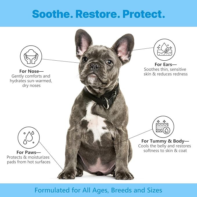 Dog Post-Sun Recovery Serum - Soothes Hot Spots, Redness & Sun Discomfort | Repairs Moisture Barrier with Ceramides | For Ears, Belly & Paws | Fast-Absorbing Formula (1.85 fl oz)