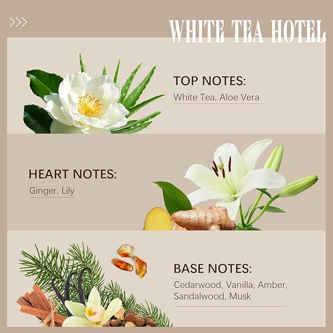 Hotel Collection Diffuser Oil Inspired by W Hotel, White Tea Essential Oil for Diffuser, Fragrance Oil 100 ml 3.38 Fl Oz