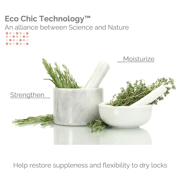 GIOVANNI ECO CHIC 50:50 Balanced Hydrating Clarifying Shampoo - Leaves Hair pH Balanced for Over-Processed Hair, Provides Moisture & Protection, Salon Quality, No Parabens - 8.5 oz (3 Pack)