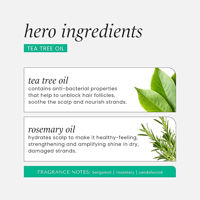 HASK Tea Tree & Rosemary Oil Scalp Care Shampoo - 12 fl oz