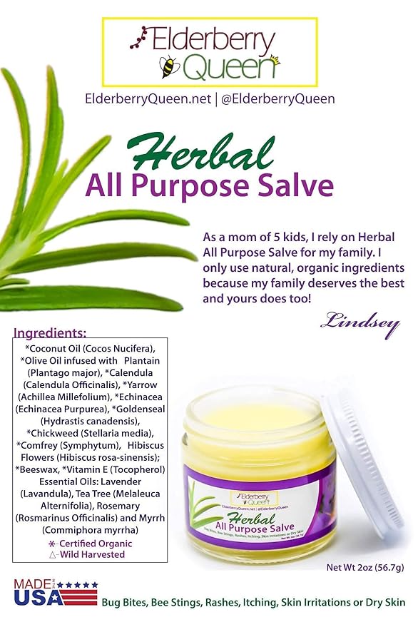 Elderberry Queen Healing Salve, All Purpose Anti Itch Herbal Balm for Dry Itchy Skin, Cracked Heels, Minor Burns, Sunburn, Chapped Lips (2 ounce)