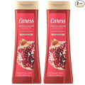 Caress Body Wash, Tahitian Pomegranate & Coconut Milk, Moisturizing Body Wash for Renewed, Glowing Skin, Exfoliating Body Soap Liquid, 20 Fl Oz (Pack of 2)