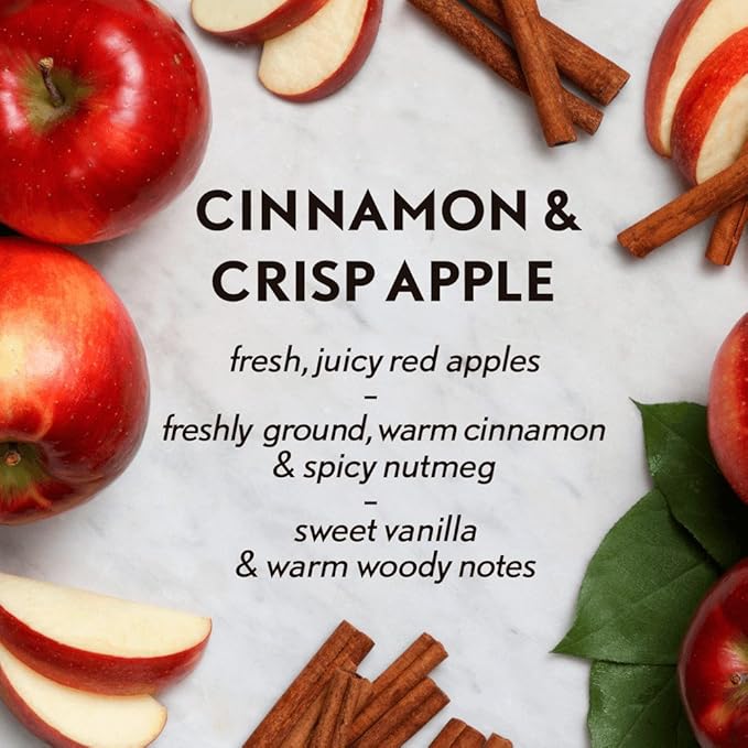 Air Wick Essential Oils Diffuser Mist Refill, Cinnamon and Crisp Apple, 1ct, Air Freshener (RAC98553)