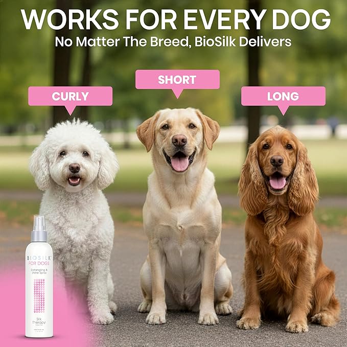 BioSilk for Dogs Silk Therapy Detangling and Shine Protecting Spray, pH Balanced Leave-In Mist with Silk and Vitamins for Dematting, Paraben-Free, All Coats and Breeds, 8 Fl Oz - 6 Pack