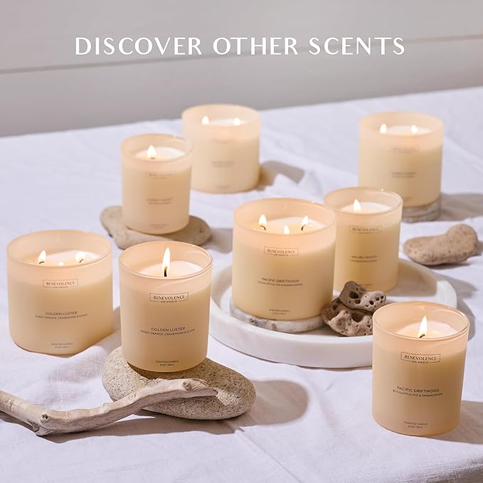 Eucalyptus, Fig & Sandalwood – Benevolence LA Scented Candle for Home | 8oz, 45-Hour Burn | Natural Soy Wax, Cotton Wick | Malibu Sands Collection, Gift for Women & Men