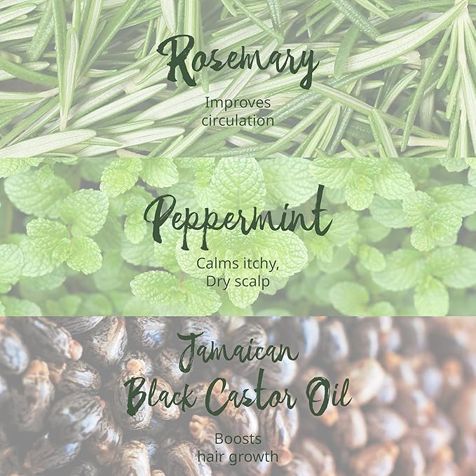 Hair Gro Rosemary Mint Shampoo & Conditioner Set - Jamaican Black Castor Oil Blend. Gently Cleanse, Moisturize, Refresh Scalp & Repair Damaged Hair. Organic Formula Nourish, Soften, Strengthen Hair