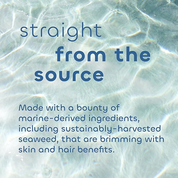 Seaweed Bath Co. Hydrate Body Cream, Citrus Vanilla Scent, 6 Ounce, Nourishing Hand & Body Lotion Moisturizer for Dry Skin, with Sustainably Harvested Seaweed, Kukui Oil, Hyaluronic Acid, Shea Butter