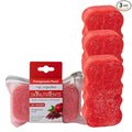 Spongeables Body Wash in a 20+ Wash Sponge, Pomegranate Punch, 3 Count
