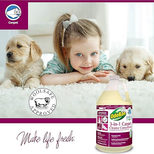 OdoBan 3-in-1 Carpet Cleaner Concentrate (1 Gallon) and Ready-to-Use Biostain and Odor Remover (1 Gallon)