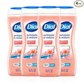 Dial Body Wash, Exfoliate & Restore Himalayan Salt, 16 Fl Oz (Pack of 4), Hydraclean Complex & Vitamin E, Gentle, Leaves Skin Feeling Nourished, Dermatologist-Tested, No Parabens & Sulfates