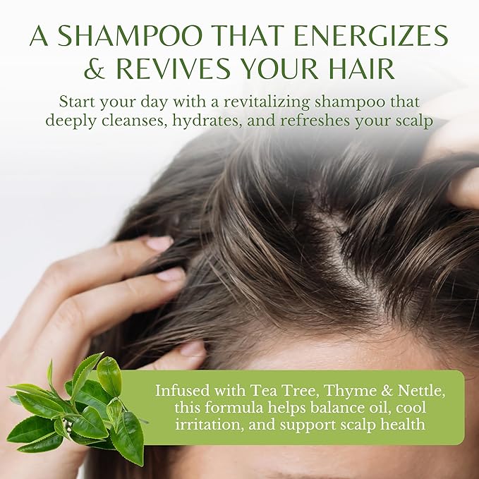 EDENIKA BOTANICALS Tea Tree Oil Shampoo, Deep Cleansing for Buildup & Oily Scalp, Soothes Itchy Scalp & Refreshes Hair, Sulfate Free, Women & Men, Natural Shampoo, 16 fl oz
