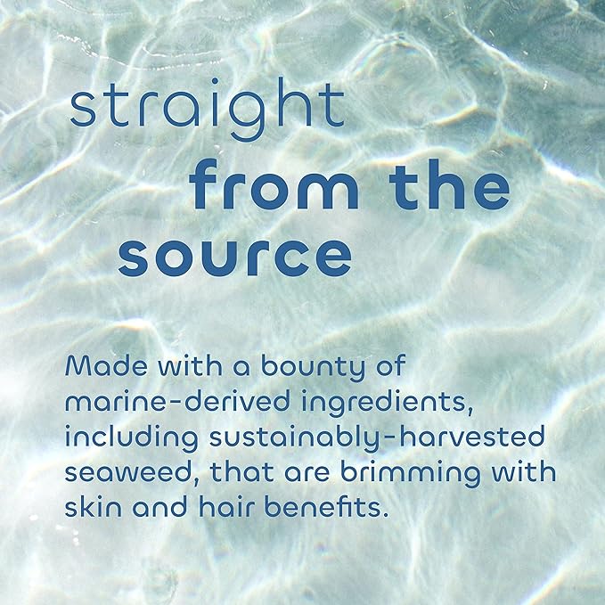 Seaweed Bath Co. Volumize Shampoo, Lavender Scent, 12 Ounce, Sustainably Harvested Seaweed, Green Algae, Barley Protein, For Normal to Fine Hair