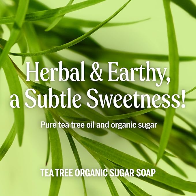 Dr. Bronner's Organic Sugar Soap (Tea Tree, 12 Ounce) - Made with Regenerative Certified Organic Oils, Sugar & Shikakai Powder, 4-in-1 Use: Hands, Body, Face and Hair- Liquid Soap, Nourishes