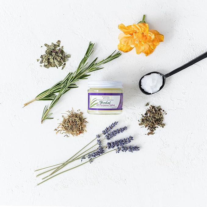 Elderberry Queen Healing Salve, All Purpose Anti Itch Herbal Balm for Dry Itchy Skin, Cracked Heels, Minor Burns, Sunburn, Chapped Lips (2 ounce)